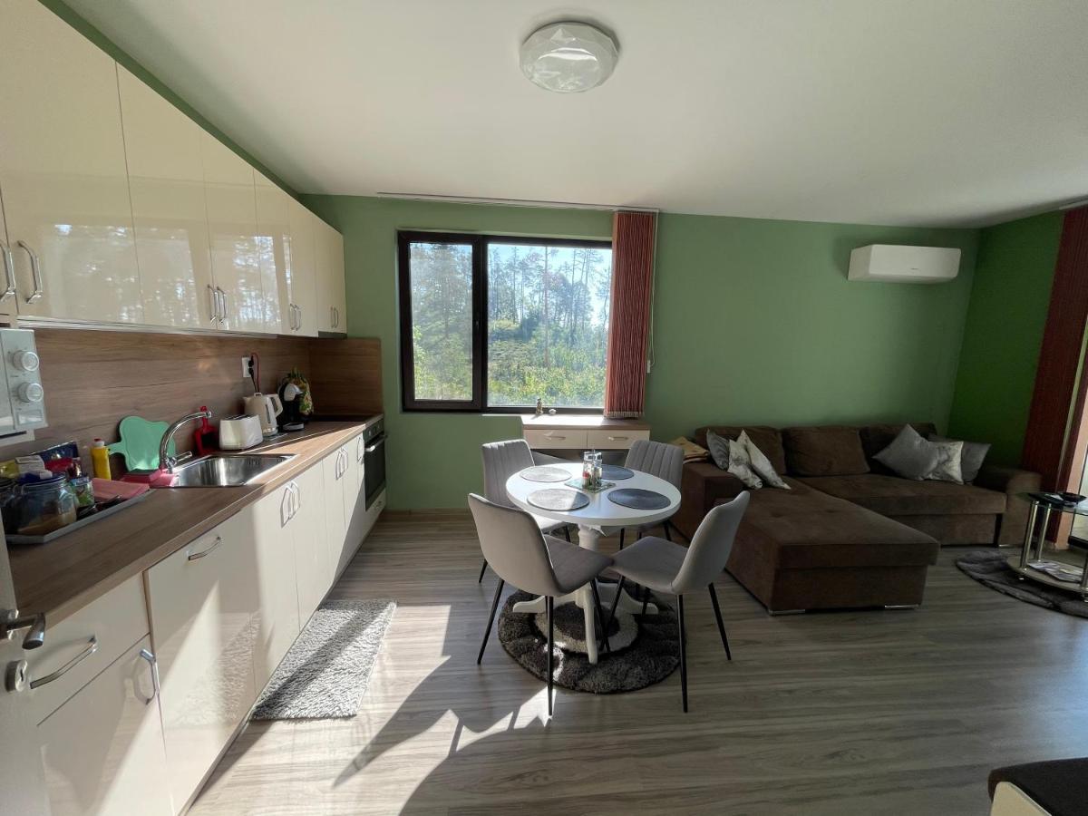 Nikol Deluxe Appartement Velingrad Buitenkant foto
